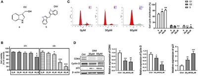 A Novel Phytochemical, DIM, Inhibits Proliferation, Migration, Invasion and TNF-α Induced Inflammatory Cytokine Production of Synovial Fibroblasts From Rheumatoid Arthritis Patients by Targeting MAPK and AKT/mTOR Signal Pathway